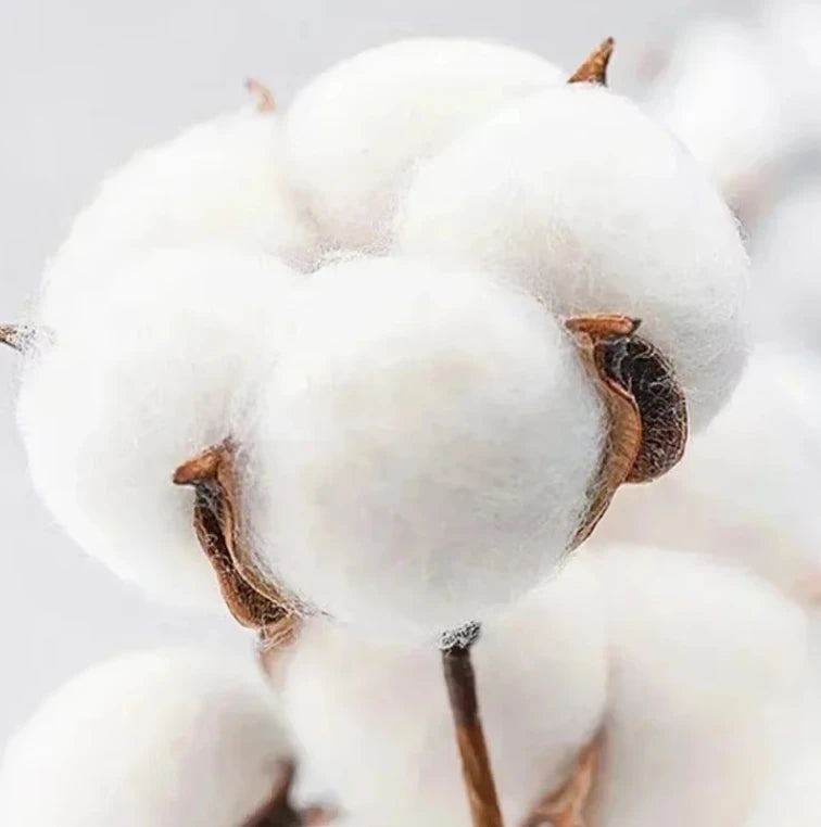 Summer Fashion Short Sleeve Men and Women T-shirt Movement